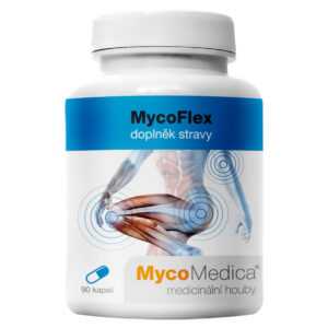 MYCOMEDICA MycoFlex 90 kapslí