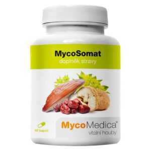 MYCOMEDICA MycoSomat 90 kapslí