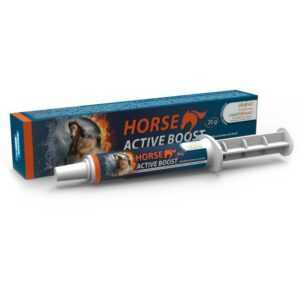 BIOVETA Horse Active Boost perorální pasta 20 g